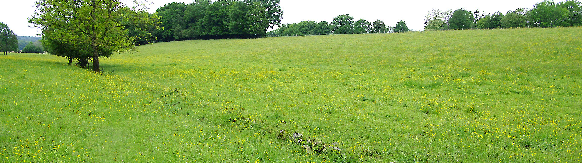 Association de défence des vals de Sobant et Sonoche